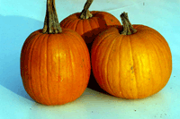 Calabazas