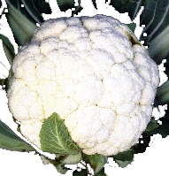 Coliflor