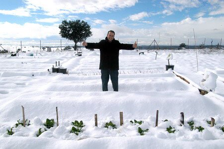 Huerto nevado